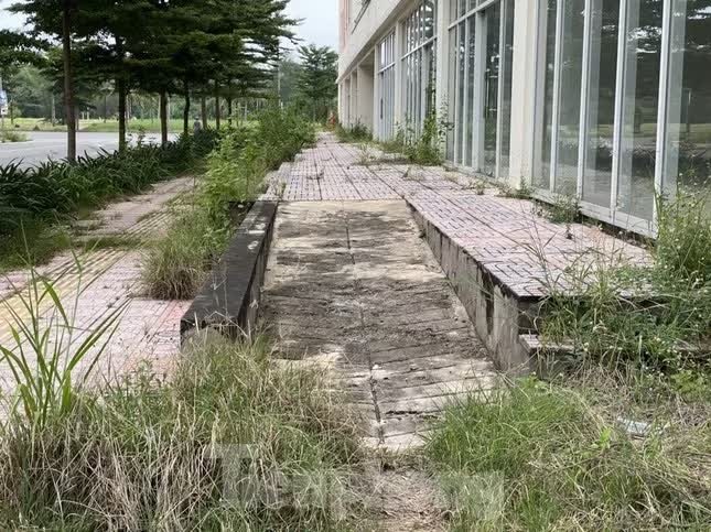 t&aacute;i định cư  ảnh 19