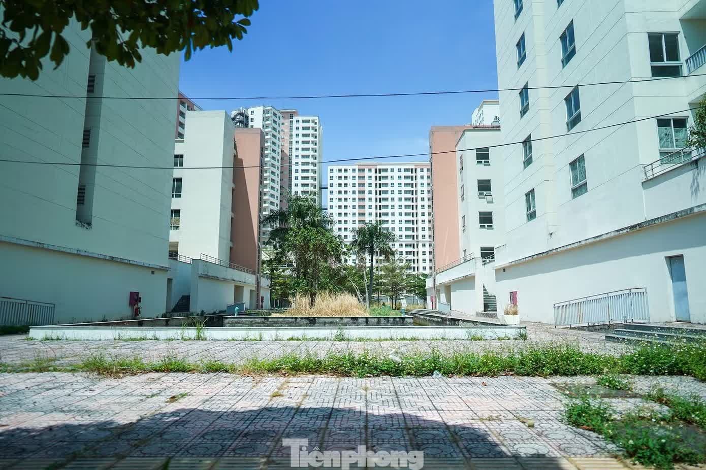 t&aacute;i định cư  ảnh 20