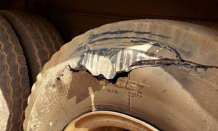 Tai xe,  hong sung. anh 4