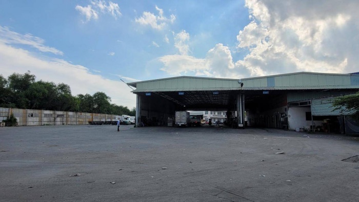 Dang kiem vang ve. anh 9