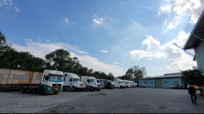 Dang kiem vang ve. anh 10