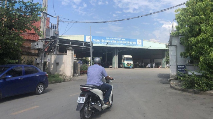 Dang kiem vang ve. anh 1