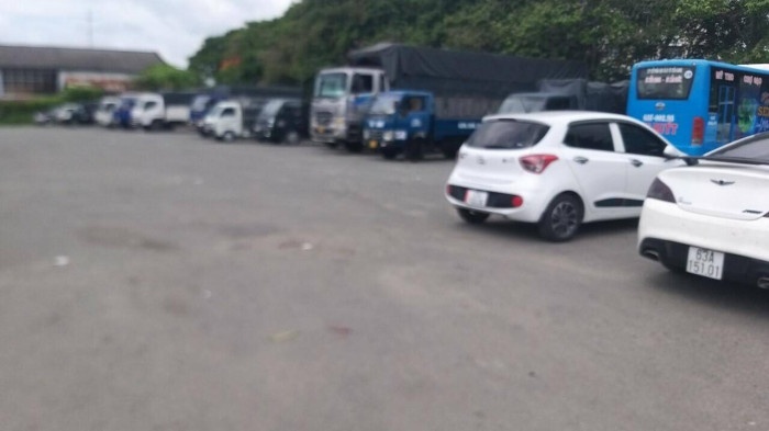 Dang kiem vang ve. anh 12