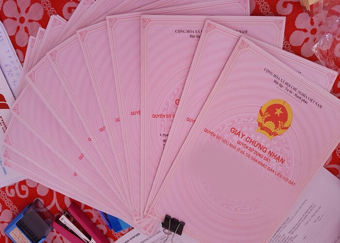 No 'chay so', nu quai lua chiem doat hang tram trieu dong hinh anh