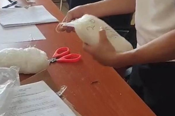 Gan 1.800 gam ma tuy da chuyen phat nhanh tu My ve Viet Nam hinh anh