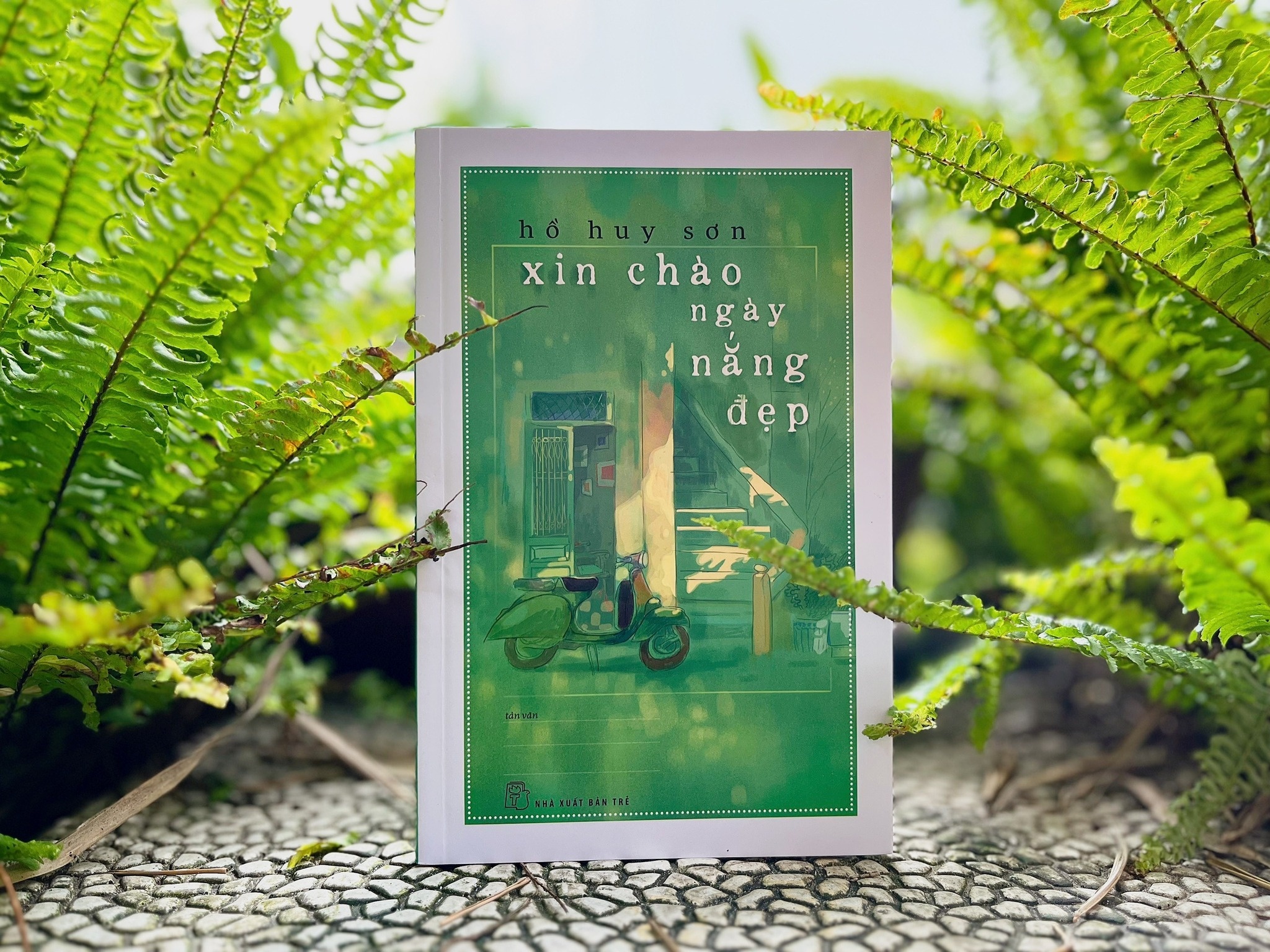 Cam xuc tinh khoi trong ngay nang dep hinh anh