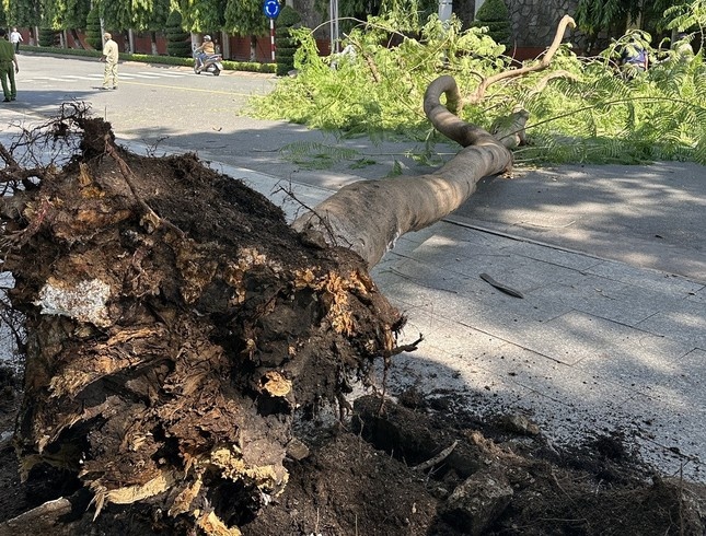 Cay bat ngo do o Binh Duong, nguoi di duong thoat nan trong gang tac hinh anh