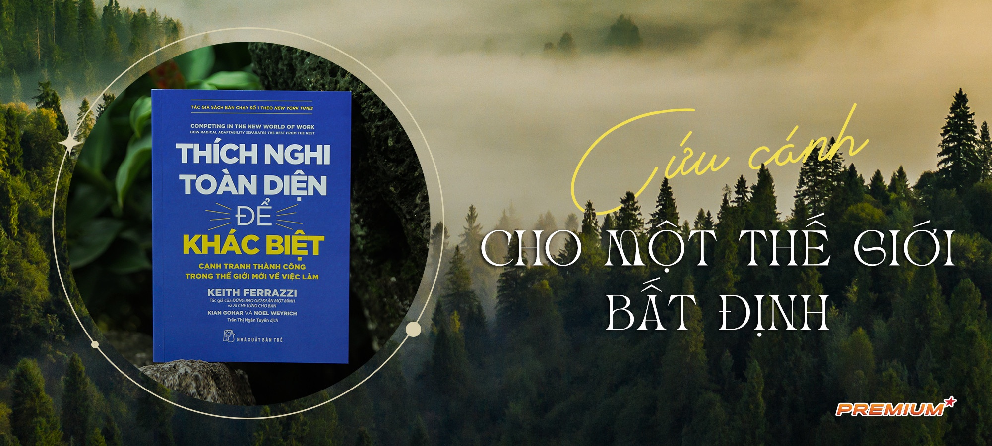 Hoc thich nghi trong mot the gioi bat dinh hinh anh