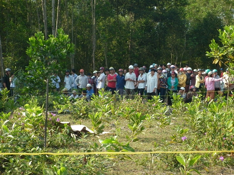 Ru vo len doi keo roi xuong tay sat hai hinh anh