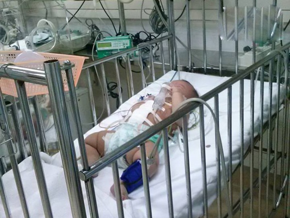 Nghi an bo dam con 3 thang tuoi roi cua co tu tu hinh anh