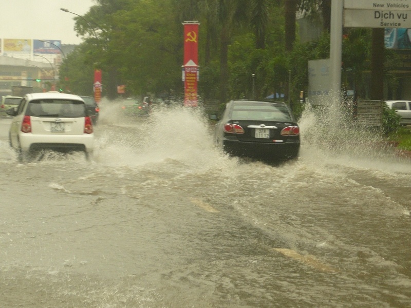 Mua lon keo dai, Nghe An chim trong bien nuoc hinh anh