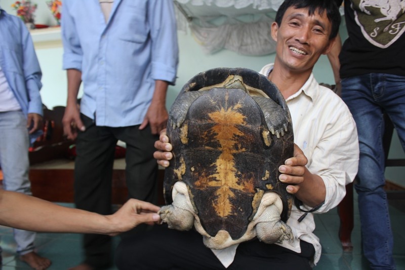 Hang tram nguoi do xo di xem 'rua than' o Nghe An hinh anh