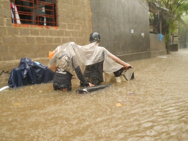 Hue chim trong nuoc khi bao so 10 ap vao hinh anh