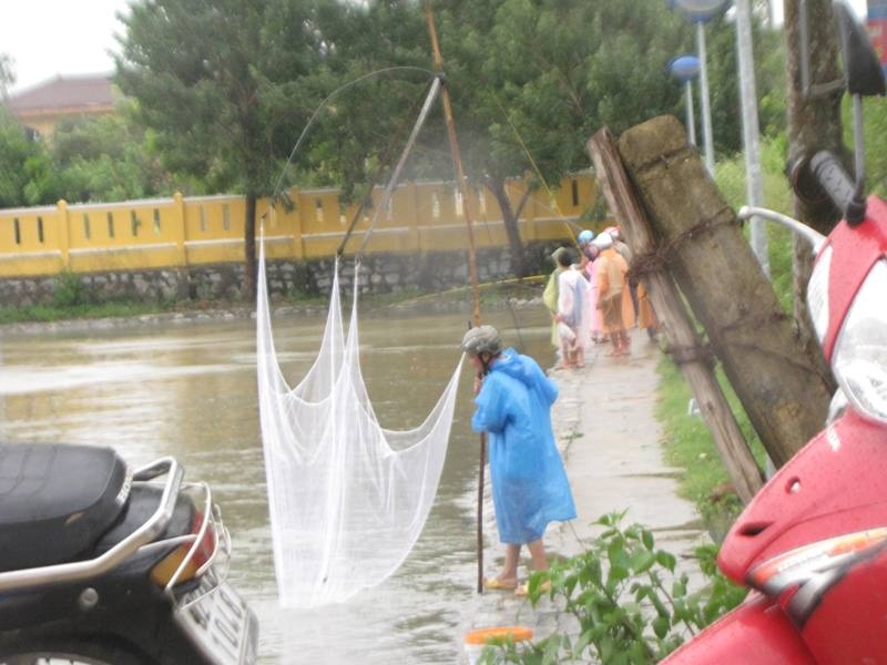 Bao di qua, dan Quang Nam bat ca trong thanh pho hinh anh