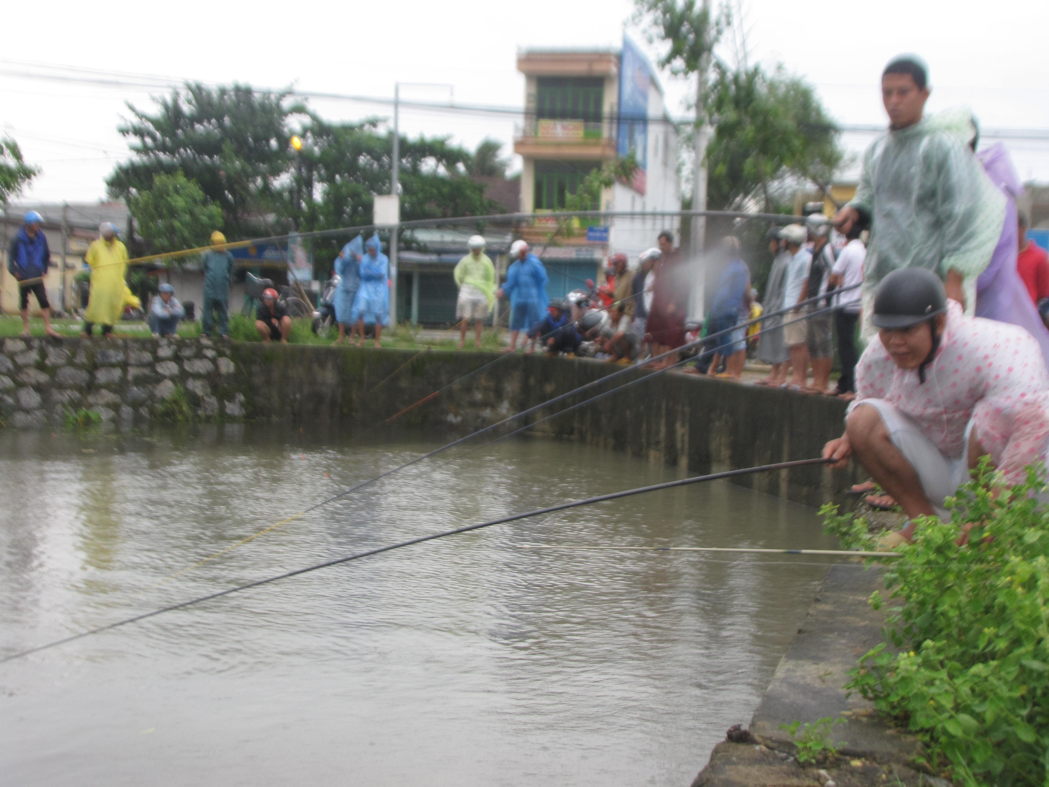 Clip hang tram nguoi do xo di cau ca sau sieu bao Nari hinh anh