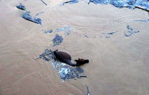Mua lu keo dai, nhieu dia phuong o Ha Tinh bi co lap hinh anh
