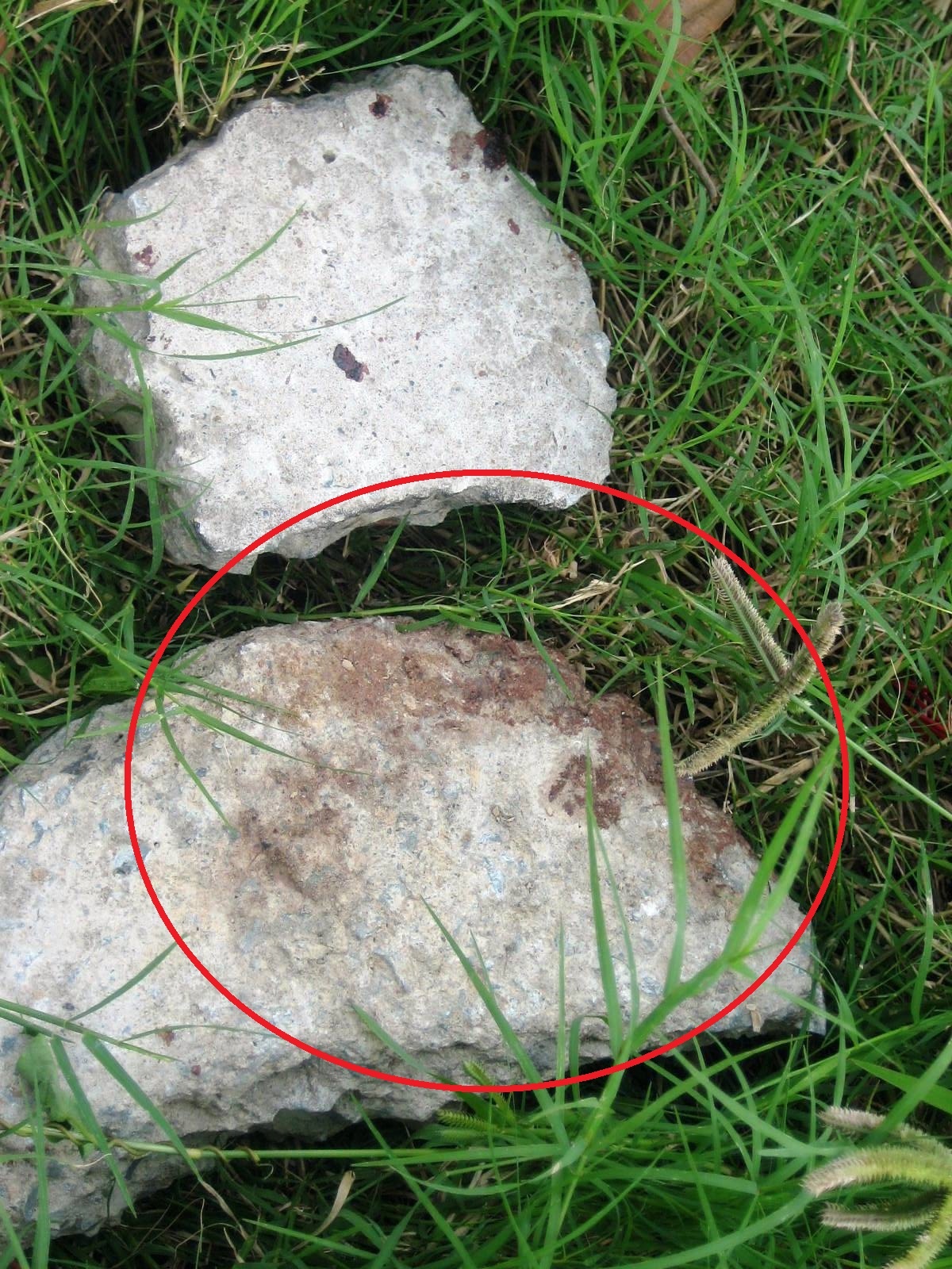 Nam thanh nien chet ben ve duong voi nhieu vet mau hinh anh