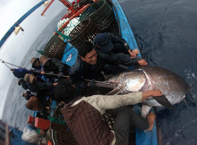 San ca dau si o Truong Sa hinh anh