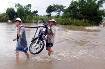 Gan 650 trieu dong bi lu cuon troi hinh anh