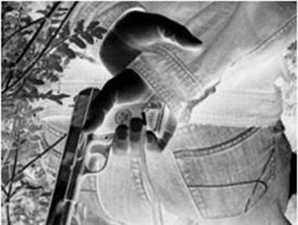 Nhung phi vu dam mau cua Tung sat thu hinh anh