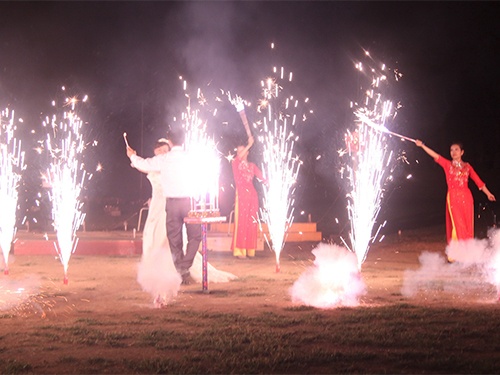 Bo Cong an ung ho nhap khau phao hoa hinh anh