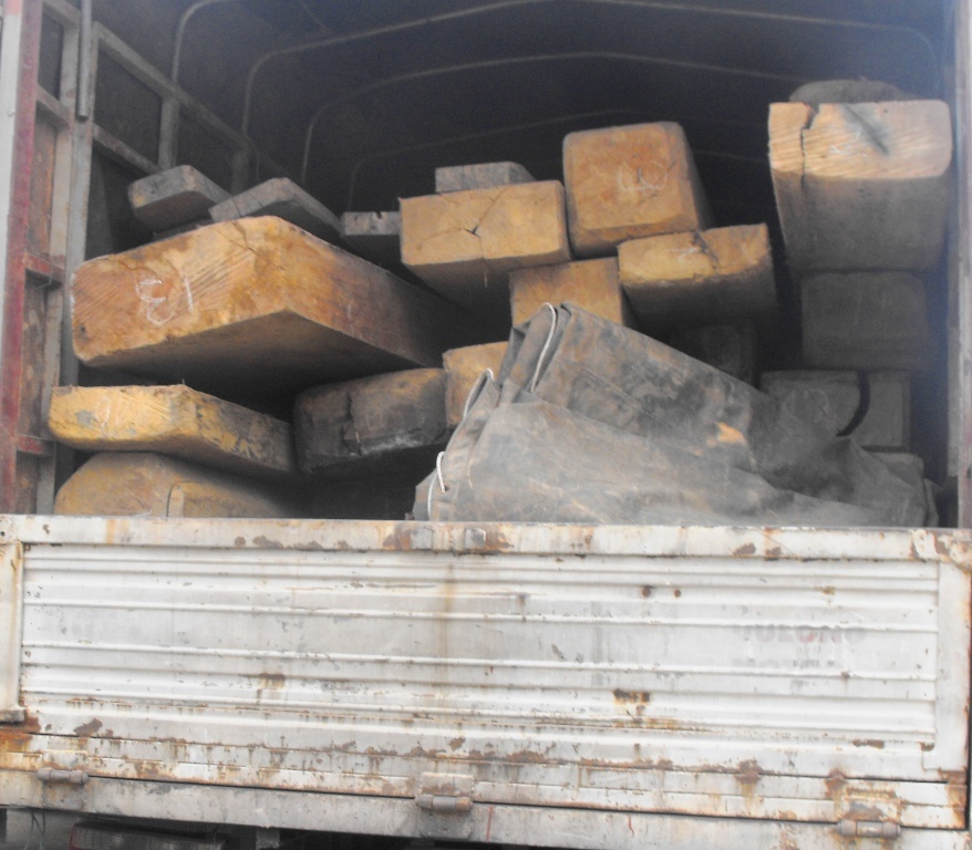 Dieu tra 'duong di' hon 10 met khoi go lau hinh anh