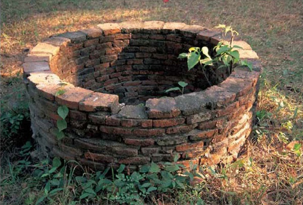 Xac nu giao mam non duoi gieng nuoc trong dem khuya hinh anh