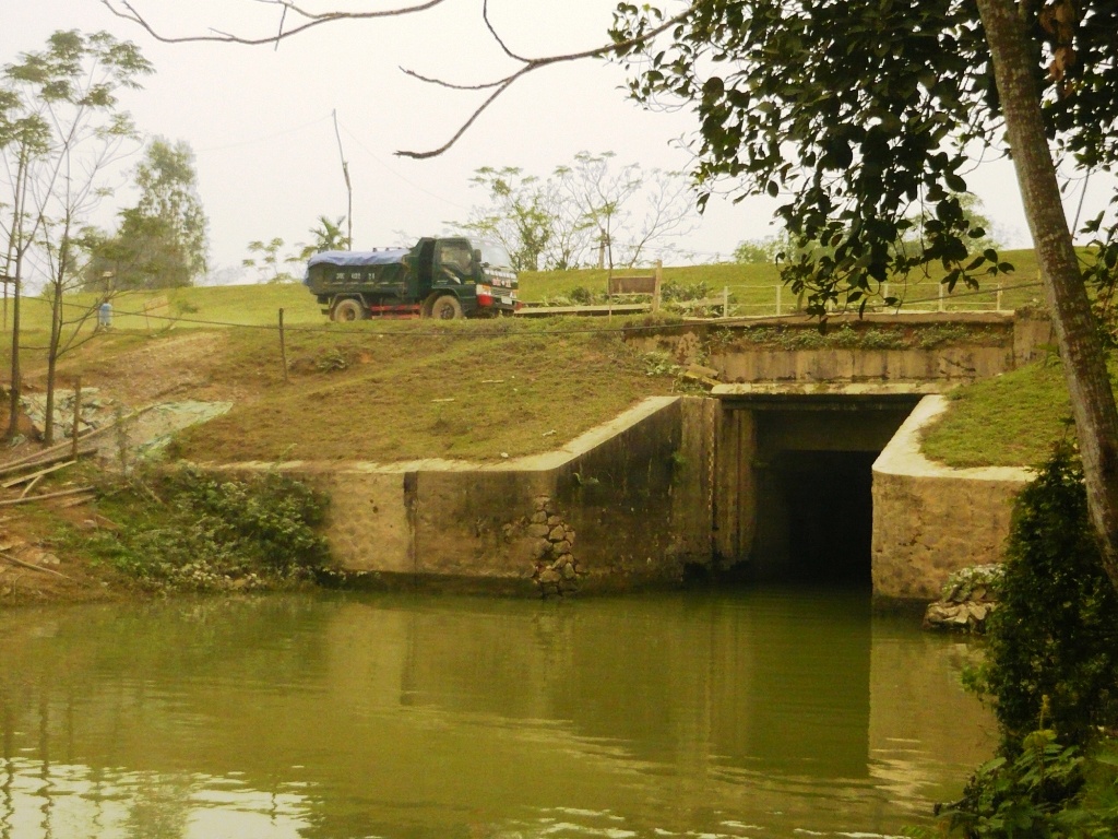 Khai quat tu thi chet trong sieu bao Hai Yen hinh anh