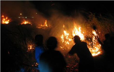 Hang tram nguoi do ve truong hoc dap lua hinh anh