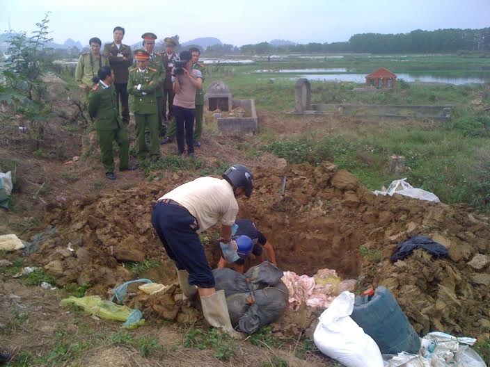 Sau Tet, tieu huy gan 2 tan bi lon khong ro nguon goc hinh anh