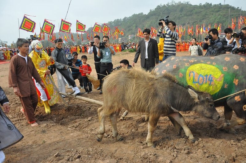 Nguoi dan ong 5 lan lam vua o Ha Nam hinh anh