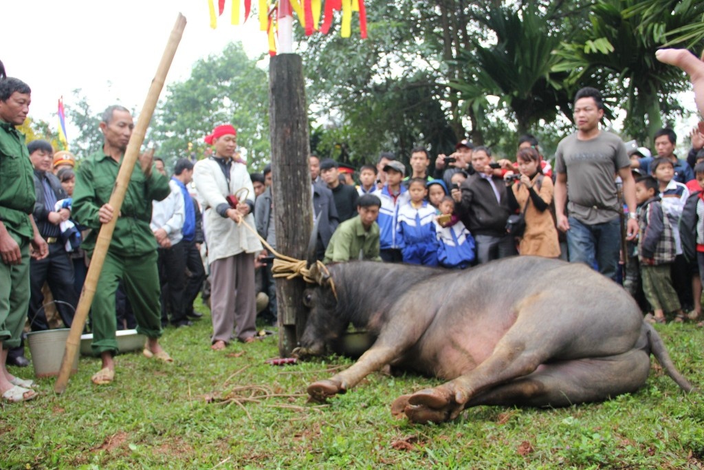 Nguoi dan ho reo trong le chem trau o Nghe An hinh anh