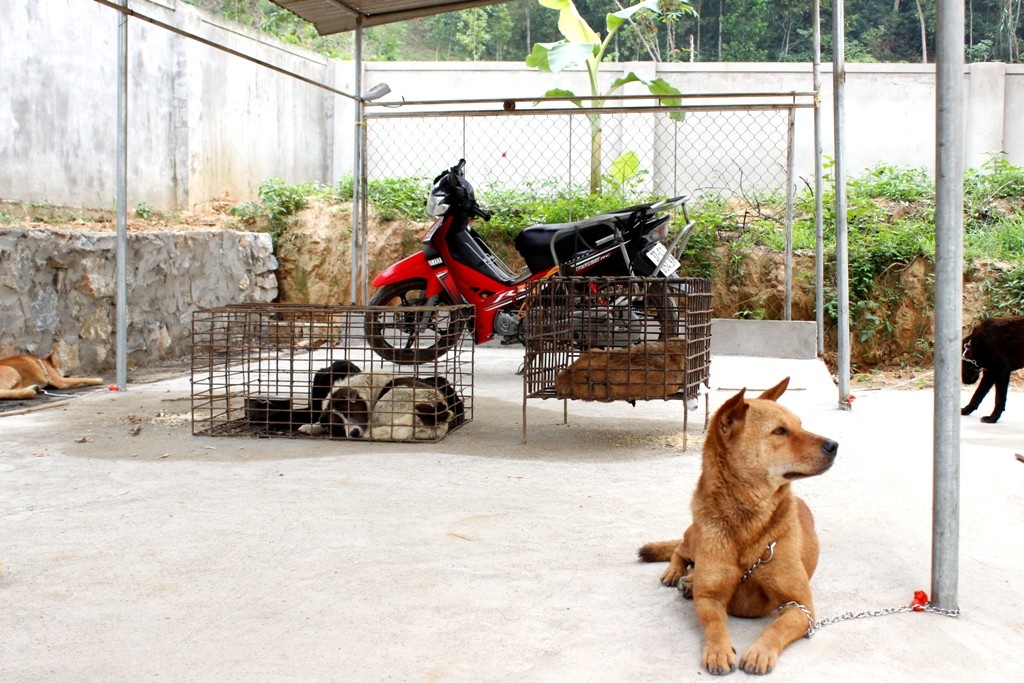 Tang vật vụ án.