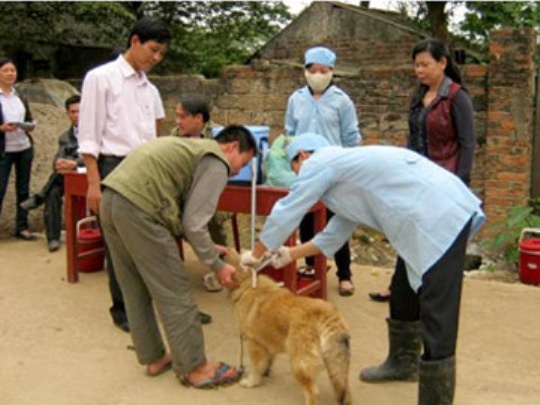 Tren 100 xa, phuong TP.HCM cong nhan an toan benh dai hinh anh