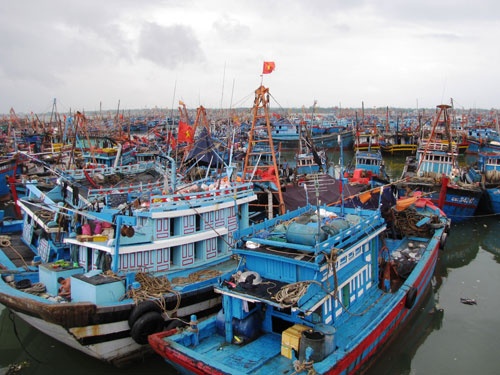 Se mit-tinh tren bien de phan doi Trung Quoc hinh anh