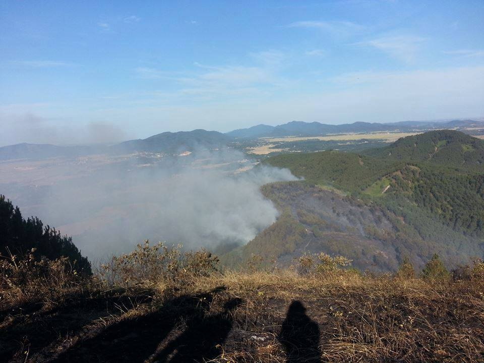Vụ cháy rừng ở giáp ranh giữa hai huyện Đô Lương và Yên Thành gây thiệt hại khá nghiêm trọng.