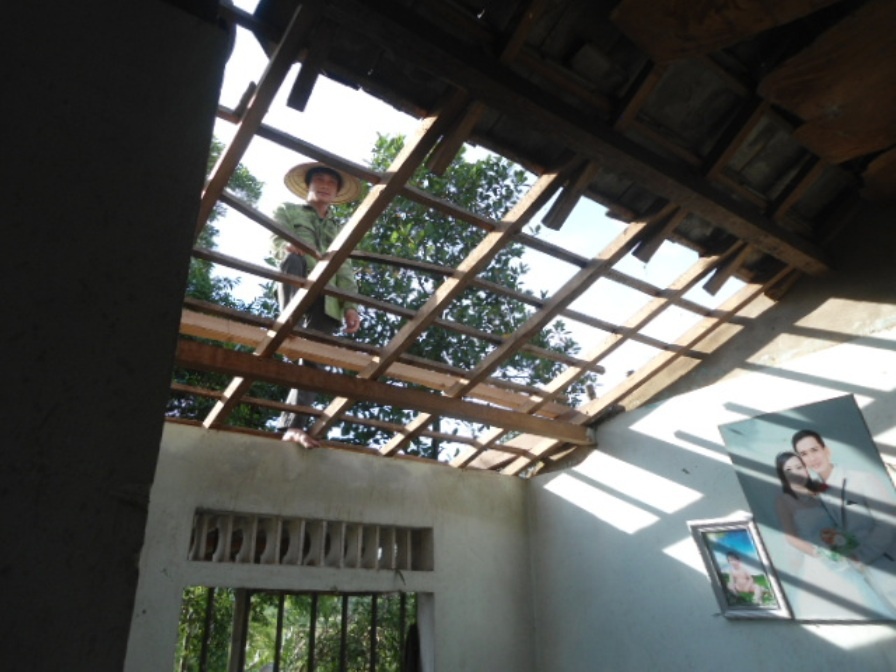 Theo báo cáo nhanh của UBND xã Đức Lĩnh, cơn lốc làm hơn 40 nhà dân bị tốc mái, gần 100 hecta hoa màu bị đổ dập.