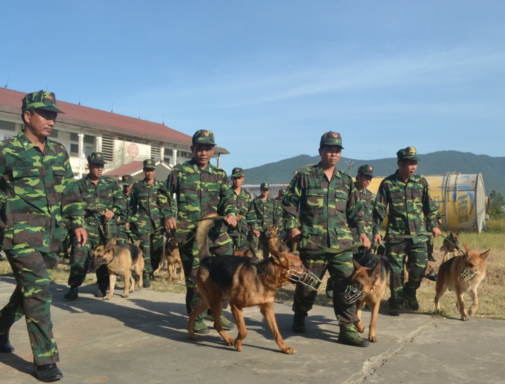 Hang chuc cho nghiep vu duoc dieu den Vung Ang hinh anh