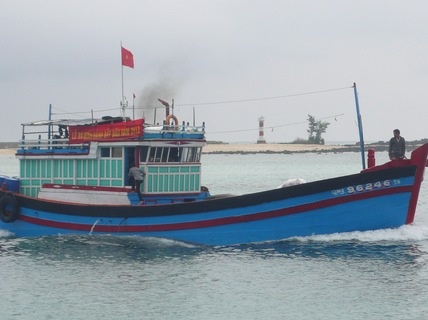 Tau ca hong, 11 ngu dan troi tu do 1 tuan tren bien hinh anh