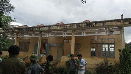 Loc xoay tan pha truong hoc o Lam Dong hinh anh