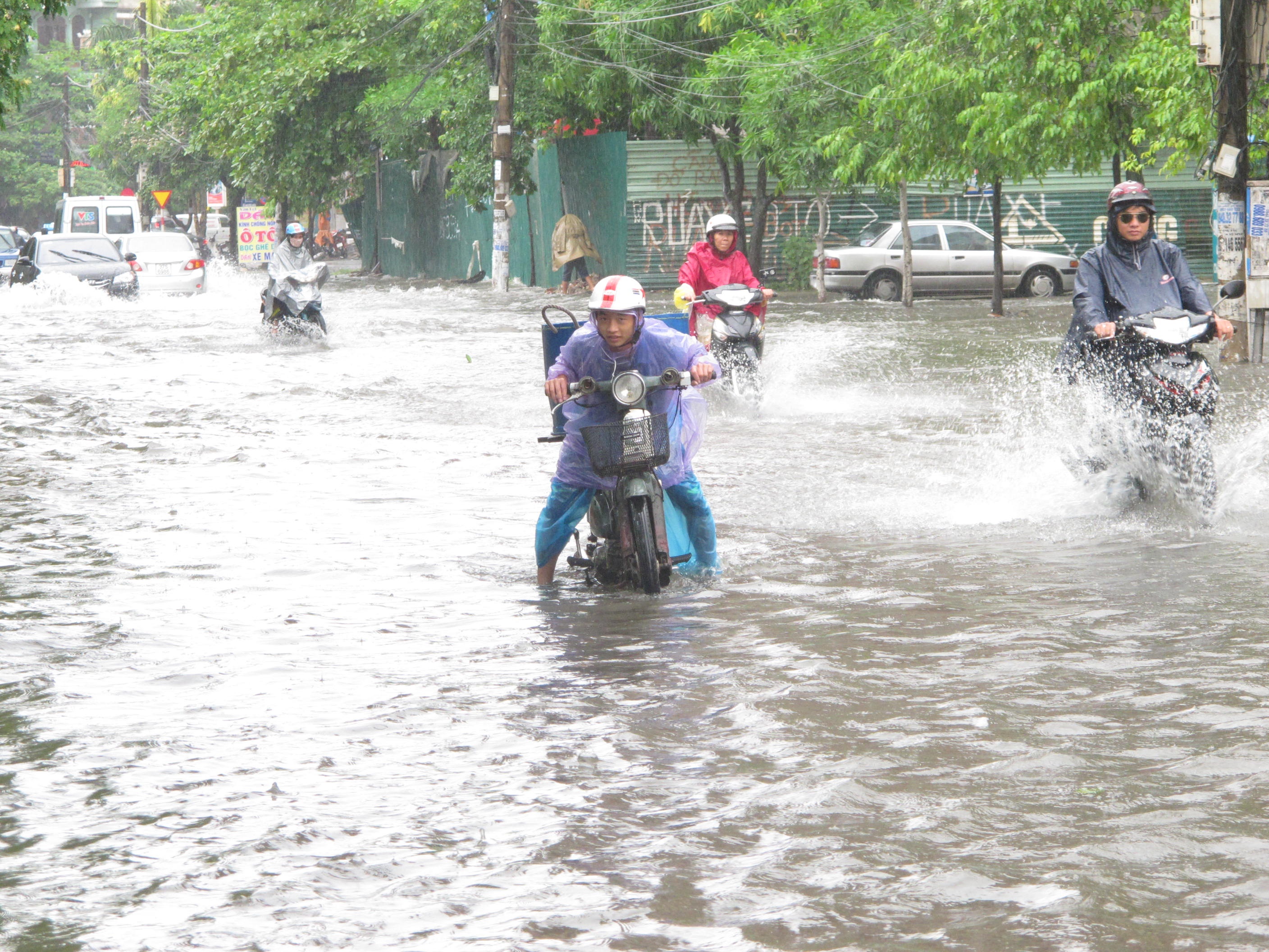 Mua lon, Vinh ngap chim trong bien nuoc hinh anh