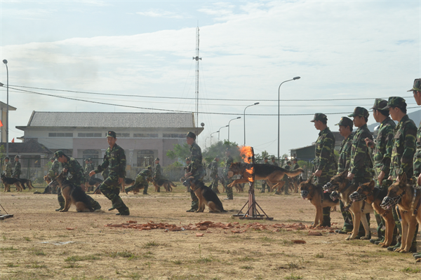 Thành công của cuộc diễn tập được chính quyền, nhân dân  địa phương đánh giá cao,  tạo sự tin tưởng, an tâm cho các nhà đầu tư, doanh nghiệp trong và ngoài nước vào làm ăn tại địa bàn khu Kinh tế Vũng Áng. 