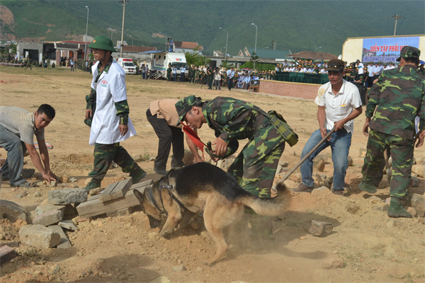 Dien tap chong bao dong tai Khu kinh te Vung Ang hinh anh