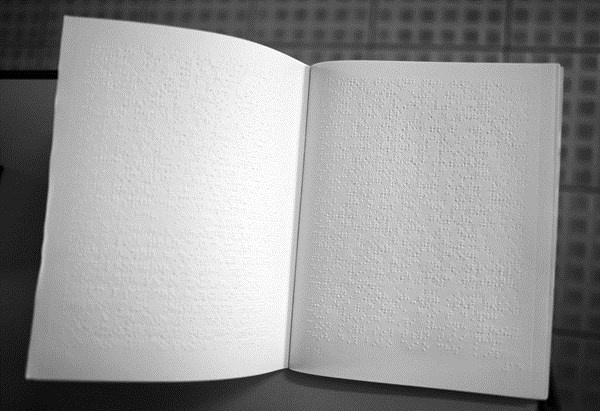 Sau đó, Việt Anh về công tác tại Trung ương Hội người mù Việt Nam và đến tháng 7/2013, chị chính thức được bổ nhiệm làm Tổng Biên tập Tạp chí Đời mới (một ấn phẩm chữ braille dành cho người khiếm thị).