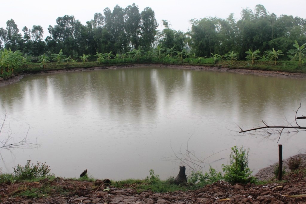 Ao nước nơi hai anh em Tấn và Phát bị đuối nước.