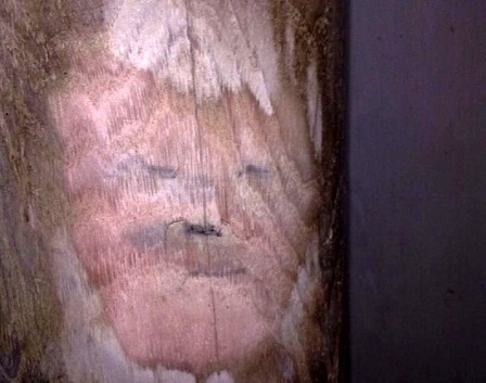 Ca lang xon xao vi hinh mat nguoi noi tren cot nha hinh anh