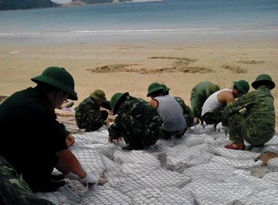 Co To dung luoi boc nha cho bao Than Sam hinh anh