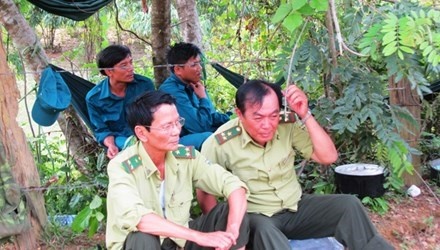 Ro tin dao duoc 16 kg vang, dan do xo vao rung hinh anh