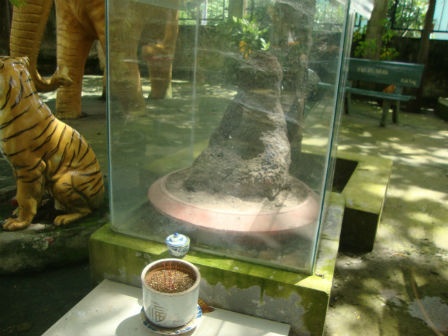 Ụ mối hình quan âm ngồi tòa sen người dân cúng dường