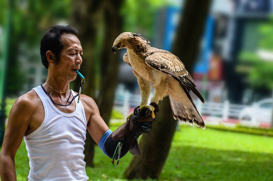 Canh huan luyen dai bang giua pho hinh anh